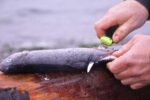 Žuvies filiavimo peilis Morakniv® Companion Fishing Fillet 090 (S) - Image 2